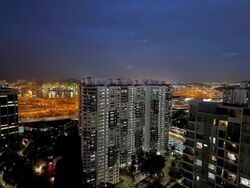 Blk 1 The Pinnacle@Duxton (Bukit Merah), HDB 4 Rooms #568897621